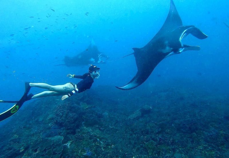 Manta Point Snorkeling Nusa Penida