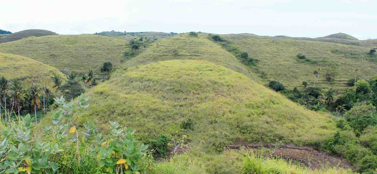 Teletubbies Hills